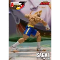 Street Fighter Sagat SF Alpha 3 Storm Arena Storm Toys