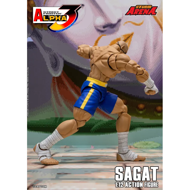 Street Fighter Sagat SF Alpha 3 Storm Arena Storm Toys