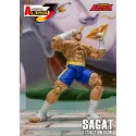Street Fighter Sagat SF Alpha 3 Storm Arena Storm Toys