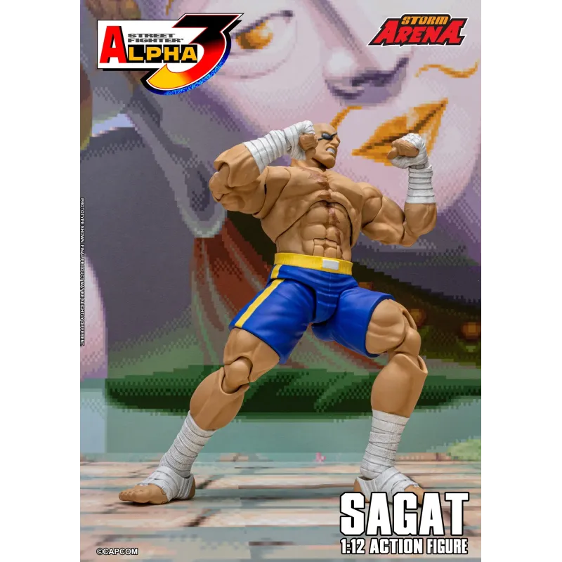 Street Fighter Sagat SF Alpha 3 Storm Arena Storm Toys