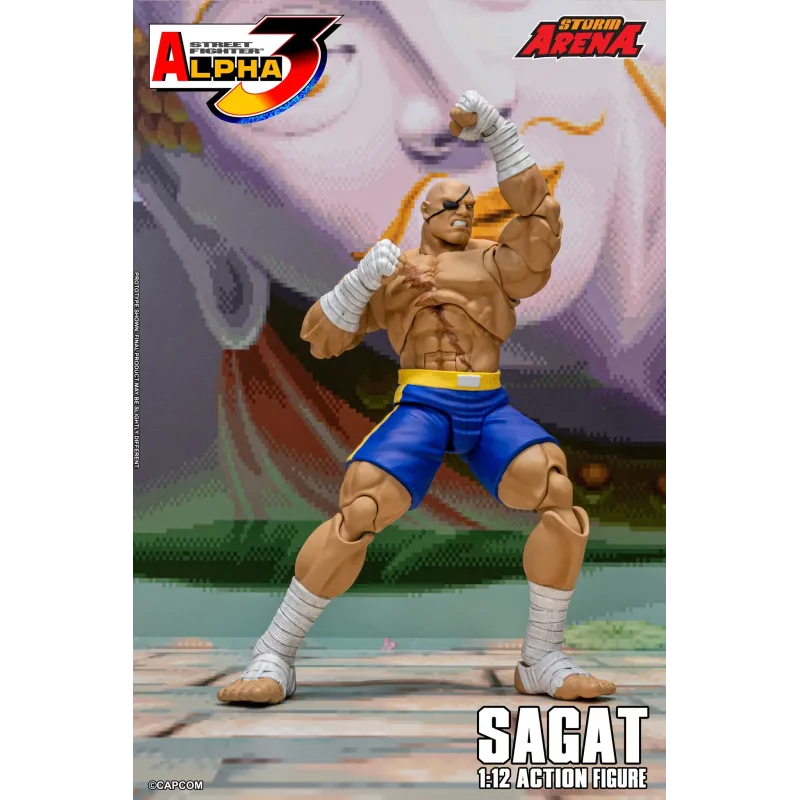 Street Fighter Sagat SF Alpha 3 Storm Arena Storm Toys