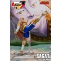 Street Fighter Sagat SF Alpha 3 Storm Arena Storm Toys