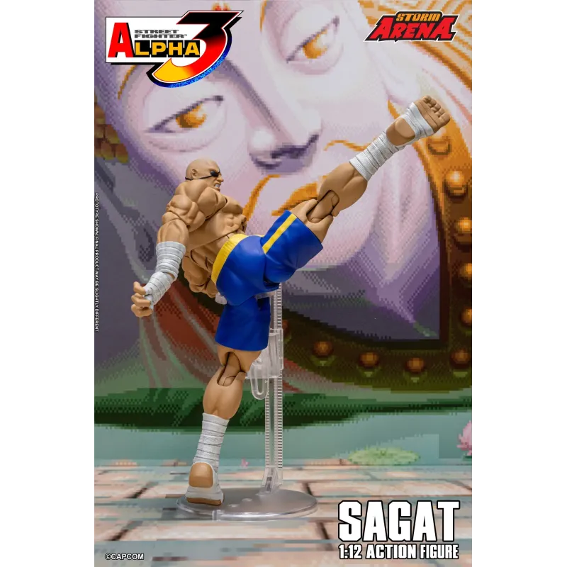 Street Fighter Sagat SF Alpha 3 Storm Arena Storm Toys
