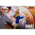 Street Fighter Sagat SF Alpha 3 Storm Arena Storm Toys