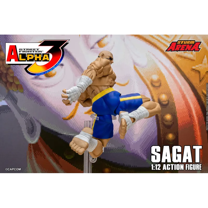 Street Fighter Sagat SF Alpha 3 Storm Arena Storm Toys