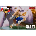 Street Fighter Sagat SF Alpha 3 Storm Arena Storm Toys