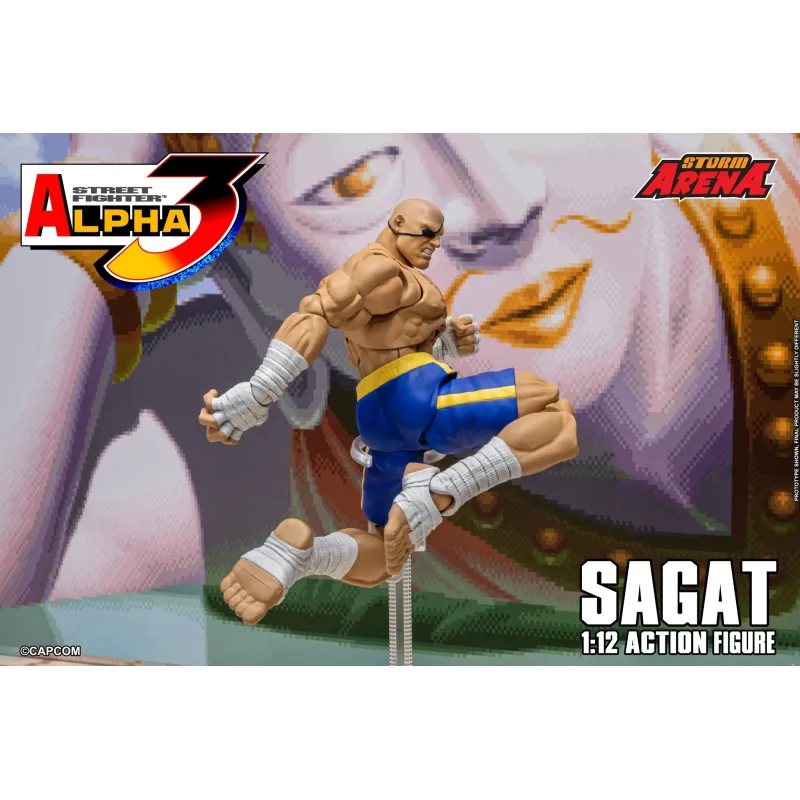 Street Fighter Sagat SF Alpha 3 Storm Arena Storm Toys