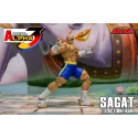 Street Fighter Sagat SF Alpha 3 Storm Arena Storm Toys