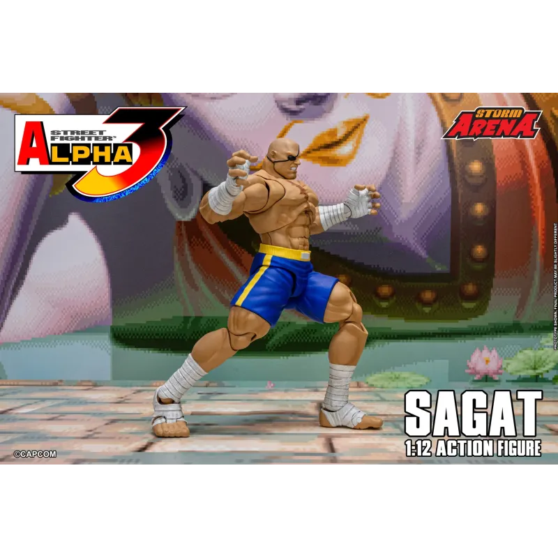 Street Fighter Sagat SF Alpha 3 Storm Arena Storm Toys