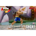 Street Fighter Sagat SF Alpha 3 Storm Arena Storm Toys