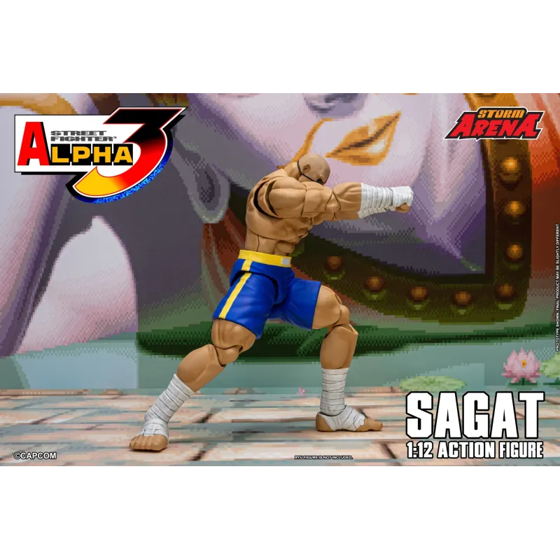 Street Fighter Sagat SF Alpha 3 Storm Arena Storm Toys