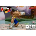 Street Fighter Sagat SF Alpha 3 Storm Arena Storm Toys