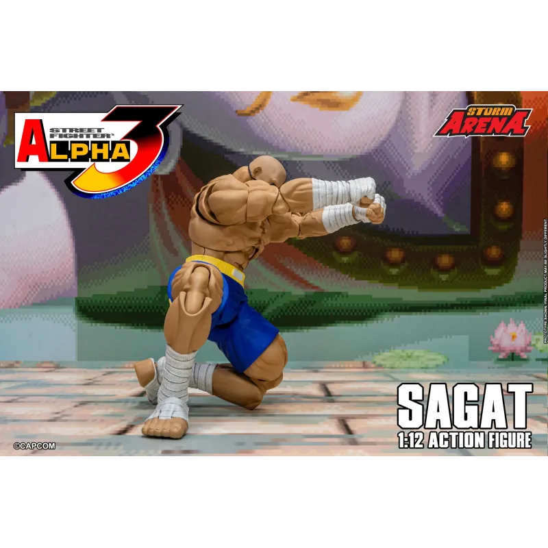 Street Fighter Sagat SF Alpha 3 Storm Arena Storm Toys