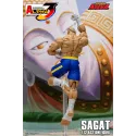 Street Fighter Sagat SF Alpha 3 Storm Arena Storm Toys