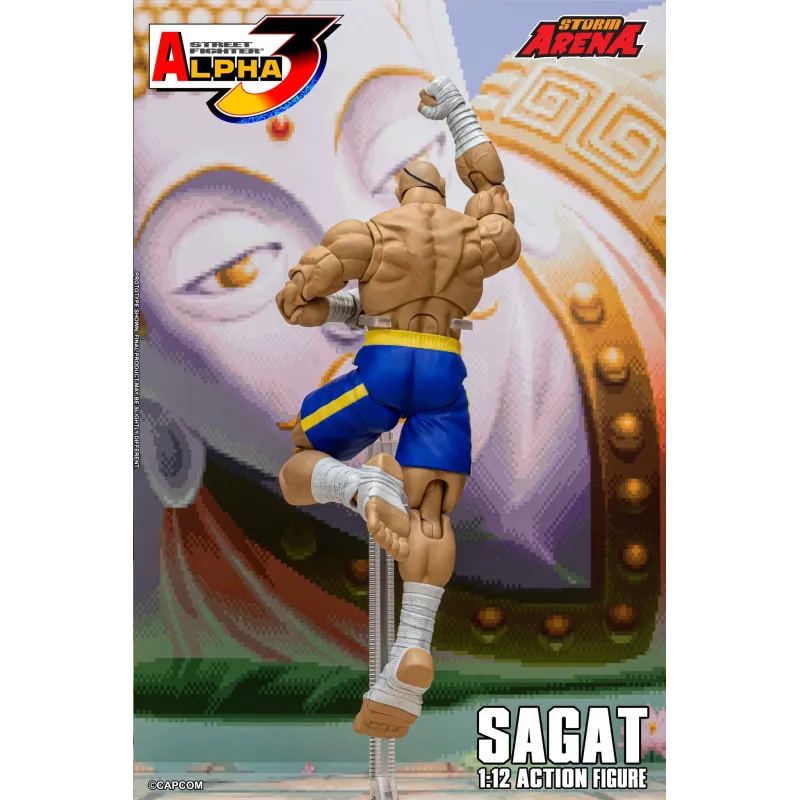 Street Fighter Sagat SF Alpha 3 Storm Arena Storm Toys