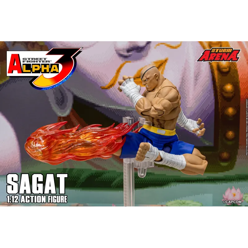 Street Fighter Sagat SF Alpha 3 Storm Arena Storm Toys