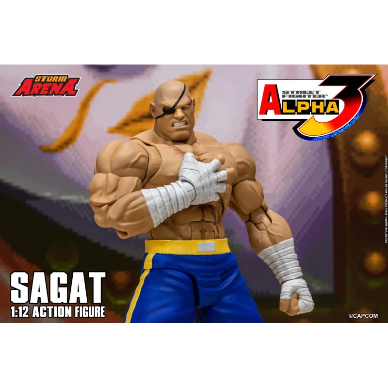 Street Fighter Sagat SF Alpha 3 Storm Arena Storm Toys