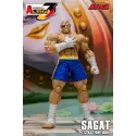 Street Fighter Sagat SF Alpha 3 Storm Arena Storm Toys