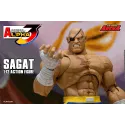 Street Fighter Sagat SF Alpha 3 Storm Arena Storm Toys