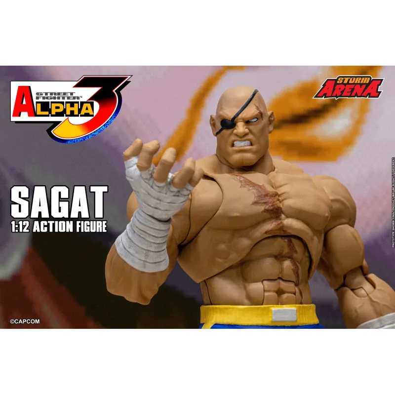 Street Fighter Sagat SF Alpha 3 Storm Arena Storm Toys