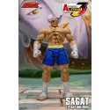 Street Fighter Sagat SF Alpha 3 Storm Arena Storm Toys