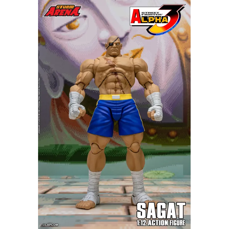 Street Fighter Sagat SF Alpha 3 Storm Arena Storm Toys