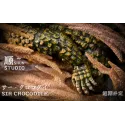 One Piece Sir Crocodile SHUN Studio