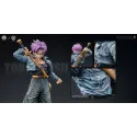 Dragon Ball Z Trunks Space Realm Studio x Ember Ruins