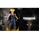 Dragon Ball Z Trunks Space Realm Studio x Ember Ruins