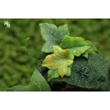 The Secret World of Arrietty SY Studio