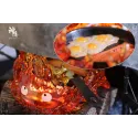 Howl´s Moving Castle Calcifer 4.0 SY Studio
