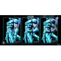 Dragon Ball ULTIMATE Metal Cooler - NOTRICKS Studio