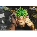 Dragon Ball Z Broly Violent Bear Studio