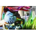 Dragon Ball Z Broly Violent Bear Studio