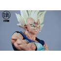 Dragon Ball Z Majin Vegeta XF Studio