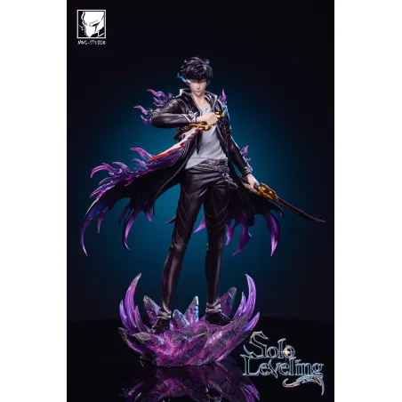 Solo Leveling Sung Jing Woo NOC Studio