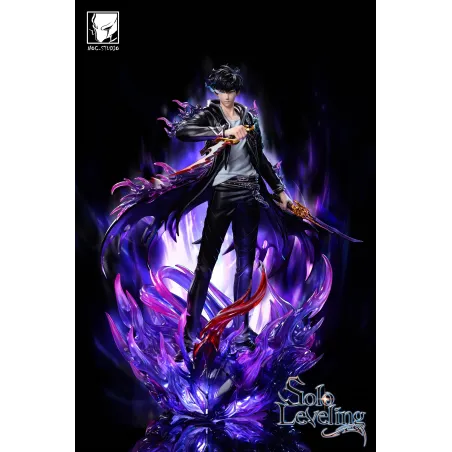 Solo Leveling Sung Jing Woo NOC Studio