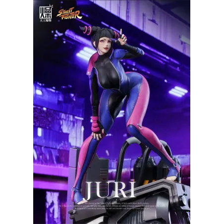 Street Fighter Juri TGZW Studio