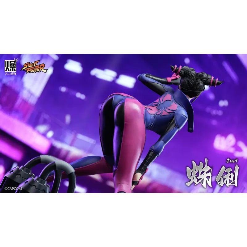 Street Fighter Juri TGZW Studio