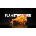 Pokémon Battle Series Move Museum 04 Charmander Flamethrower JP Studio