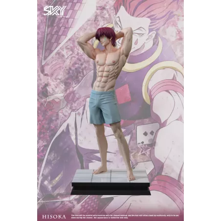 Hunter x Hunter Hisoka Sky Top