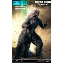 Godzilla x Kong Godzilla 2024 Evolution STAR ACE Toys