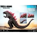 Godzilla x Kong Godzilla 2024 Evolution STAR ACE Toys