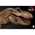 Jurassic Park Tyrannosaurus Rex Wan Long Tang