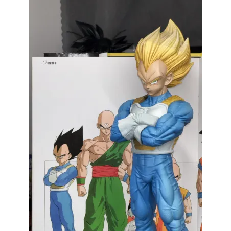 Dragon Ball Z Vegeta StarTrack Studio