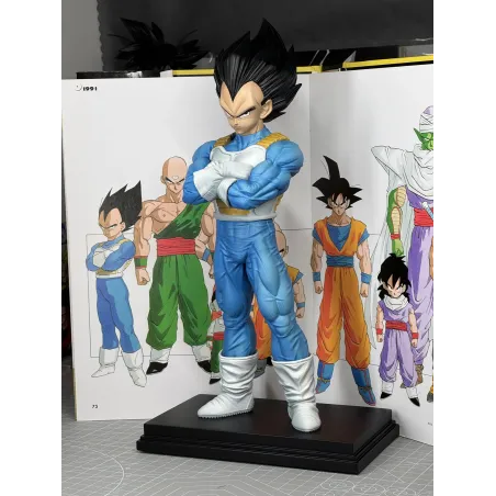 Dragon Ball Z Vegeta StarTrack Studio