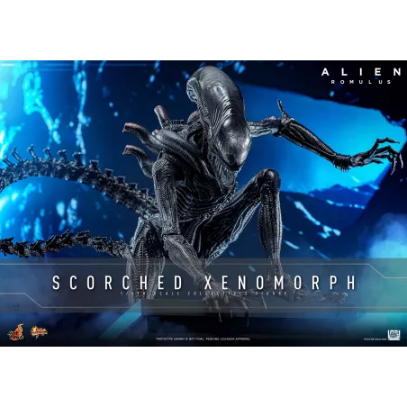 Alien Romulus Scorched Xenomorph Hot Toys