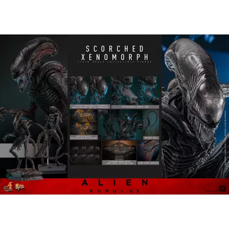 Alien Romulus Scorched Xenomorph Hot Toys