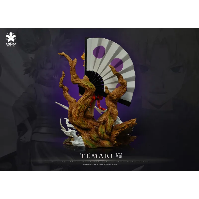 Naruto Shippuden Temari Sakura Studio