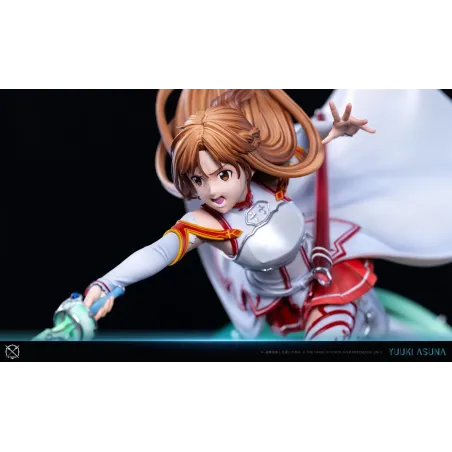 Sword Art Online Knights of Blood Asuna X Studio
